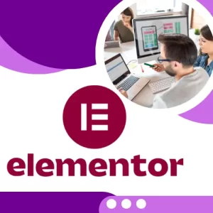 Elementor Pro